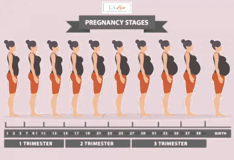 First Trimester (Weeks 1–12): Early Changes You Might Not Notice Collier's Wood